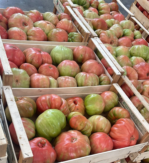 Pomodoro Cuore di Bue - Calabria - 1,80/2,20 euro al chilogrammo
